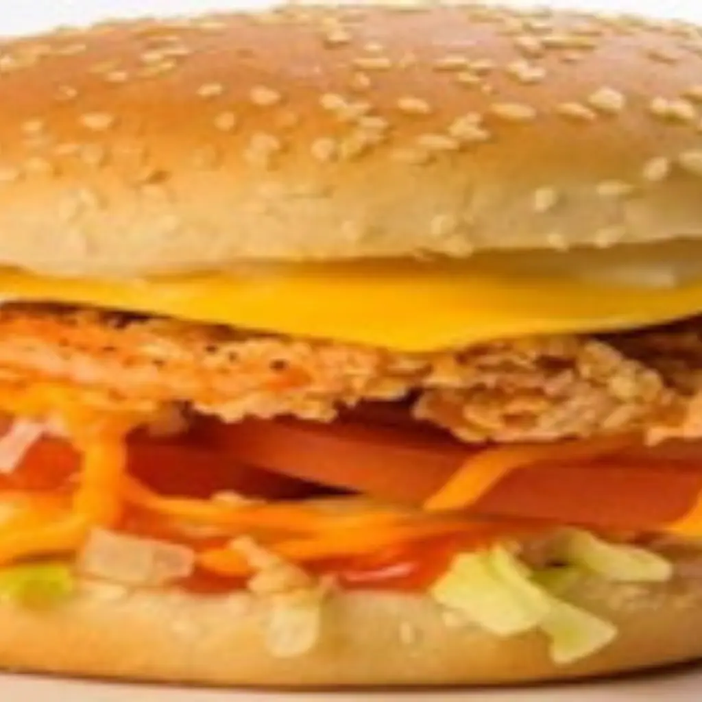 Chicken Zinger